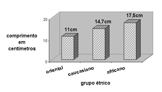 grfico do comprimento do pnis por grupo tnico
